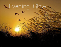 夕焼け-Evening Glow-和平之月钢琴谱文件(五线谱、双手简谱、数字谱、Midi、PDF)免费下载