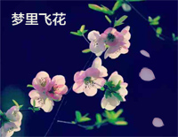 梦里飞花-好听的原创钢琴谱文件(五线谱、双手简谱、数字谱、Midi、PDF)免费下载