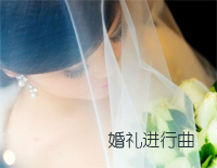 婚礼进行曲-选自歌剧罗恩格林钢琴谱文件(五线谱、双手简谱、数字谱、Midi、PDF)免费下载
