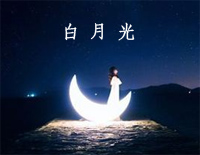 白月光-张信哲钢琴谱文件（五线谱、双手简谱、数字谱、Midi、PDF）免费下载