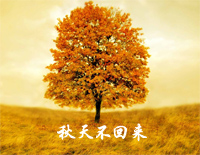 秋天不回来钢琴谱文件(五线谱、双手简谱、数字谱、Midi、PDF)免费下载