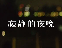 寂静的夜晚-格鲁巴尔钢琴谱文件(五线谱、双手简谱、数字谱、Midi、PDF)免费下载