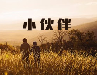 小伙伴-F.X.齐瓦塔尔钢琴谱文件(五线谱、双手简谱、数字谱、Midi、PDF)免费下载