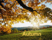 Autumn-July钢琴谱文件（五线谱、双手简谱、数字谱、Midi、PDF）免费下载