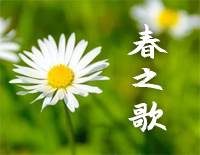 春之歌-门德尔松钢琴谱文件(五线谱、双手简谱、数字谱、Midi、PDF)免费下载