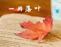 一片落叶-邓丽君钢琴谱文件(五线谱、双手简谱、数字谱、Midi、PDF)免费下载