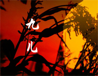 九儿-红高粱片尾曲-韩红钢琴谱文件(五线谱、双手简谱、数字谱、Midi、PDF)免费下载