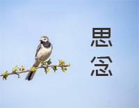 思念-毛阿敏钢琴谱文件(五线谱、双手简谱、数字谱、Midi、PDF)免费下载