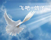 飞吧 鸽子-王立平钢琴谱文件(五线谱、双手简谱、数字谱、Midi、PDF)免费下载