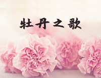 牡丹之歌-红牡丹主题歌-蒋大为钢琴谱文件(五线谱、双手简谱、数字谱、Midi、PDF)免费下载