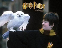 Hedwig's Theme-海德薇变奏曲-Harry Potter主题曲钢琴谱文件（五线谱、双手简谱、数字谱、Midi、PDF）免费下载