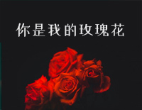 你是我的玫瑰花-庞龙钢琴谱文件(五线谱、双手简谱、数字谱、Midi、PDF)免费下载
