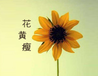 花黄瘦-Tina-Pure Morning乐团钢琴谱文件（五线谱、双手简谱、数字谱、Midi、PDF）免费下载