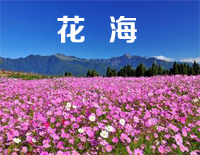花海-周杰伦钢琴谱文件(五线谱、双手简谱、数字谱、Midi、PDF)免费下载