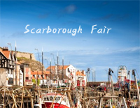 斯卡布罗集市-Scarborough Fair-EOP魔鬼训练营练习曲钢琴谱文件(五线谱、双手简谱、数字谱、Midi、PDF)免费下载