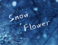 雪之华-对不起我爱你主题曲钢琴谱文件(五线谱、双手简谱、数字谱、Midi、PDF)免费下载