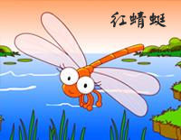 红蜻蜓钢琴谱文件(五线谱、双手简谱、数字谱、Midi、PDF)免费下载