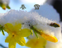 春雪-网友BlackHeaven原创钢琴谱文件(五线谱、双手简谱、数字谱、Midi、PDF)免费下载