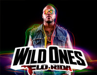 Wild Ones-Flo Rida钢琴谱文件(五线谱、双手简谱、数字谱、Midi、PDF)免费下载