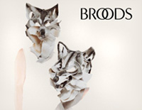 Bridges-Broods钢琴谱文件（五线谱、双手简谱、数字谱、Midi、PDF）免费下载