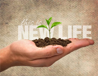 New Life-Peter Jeremias钢琴谱文件(五线谱、双手简谱、数字谱、Midi、PDF)免费下载