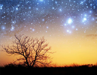 点点繁星-《迷雾森林》班得瑞钢琴谱文件(五线谱、双手简谱、数字谱、Midi、PDF)免费下载