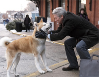 Goodbye-《忠犬八公的故事》配乐钢琴谱文件(五线谱、双手简谱、数字谱、Midi、PDF)免费下载