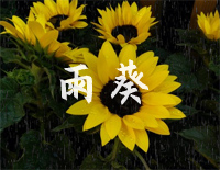雨葵-夜的钢琴曲钢琴谱文件(五线谱、双手简谱、数字谱、Midi、PDF)免费下载