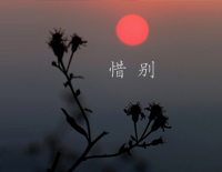 惜别-夜的钢琴曲钢琴谱文件(五线谱、双手简谱、数字谱、Midi、PDF)免费下载