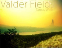 Valder Fields-个人超喜欢的钢琴谱文件（五线谱、双手简谱、数字谱、Midi、PDF）免费下载