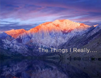 The Things I Really...-Yiruma李闰珉钢琴谱文件（五线谱、双手简谱、数字谱、Midi、PDF）免费下载
