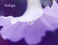 Indigo靛蓝-李闰珉Yiruma钢琴谱文件（五线谱、双手简谱、数字谱、Midi、PDF）免费下载