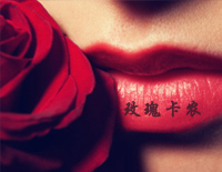 玫瑰卡农-巴哈贝尔Pachelbel钢琴谱文件(五线谱、双手简谱、数字谱、Midi、PDF)免费下载