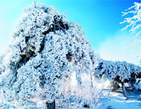 初雪好听简单版-EOP教学曲钢琴谱文件（五线谱、双手简谱、数字谱、Midi、PDF）免费下载