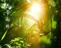 热带雨林-S.H.E钢琴谱文件(五线谱、双手简谱、数字谱、Midi、PDF)免费下载