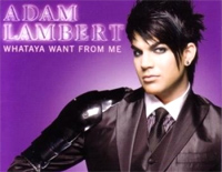 Whataya Want from Me-Adam Lambert钢琴谱文件(五线谱、双手简谱、数字谱、Midi、PDF)免费下载