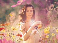 By the Grace of God-Katy Perry钢琴谱文件(五线谱、双手简谱、数字谱、Midi、PDF)免费下载