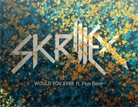 Would You Ever-Skrillex and Poo Bear钢琴谱文件(五线谱、双手简谱、数字谱、Midi、PDF)免费下载