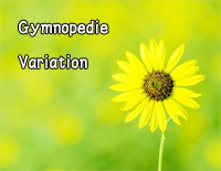 Gymnopedie Variation钢琴谱文件(五线谱、双手简谱、数字谱、Midi、PDF)免费下载