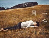 像风一样-完美版钢琴谱文件(五线谱、双手简谱、数字谱、Midi、PDF)免费下载