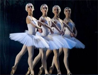 四小天鹅舞曲-Four Little Swan Dance钢琴谱文件(五线谱、双手简谱、数字谱、Midi、PDF)免费下载