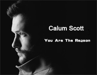 You Are The Reason-Calum Scott钢琴谱文件(五线谱、双手简谱、数字谱、Midi、PDF)免费下载