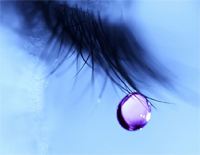 Tears-眼泪-C调简易版钢琴谱文件(五线谱、双手简谱、数字谱、Midi、PDF)免费下载
