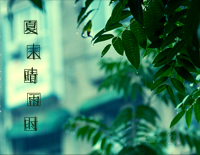 夏末晴雨时-初学者_钢琴谱文件（五线谱、双手简谱、数字谱、Midi、PDF）免费下载