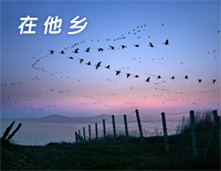 在他乡-水木年华钢琴谱文件(五线谱、双手简谱、数字谱、Midi、PDF)免费下载