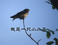 我是一只小小鸟-想要飞呀飞却飞也飞不高钢琴谱文件(五线谱、双手简谱、数字谱、Midi、PDF)免费下载