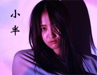 小半-华丽版钢琴谱文件(五线谱、双手简谱、数字谱、Midi、PDF)免费下载