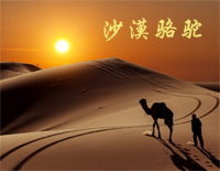 沙漠骆驼-什么鬼魅传说什么魑魅魍魉妖魔-抖音神曲钢琴谱文件(五线谱、双手简谱、数字谱、Midi、PDF)免费下载