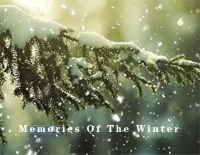 Memories Of The Winter-冬日回忆钢琴谱文件(五线谱、双手简谱、数字谱、Midi、PDF)免费下载