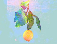 Lemon-初学者C调简易版钢琴谱文件(五线谱、双手简谱、数字谱、Midi、PDF)免费下载